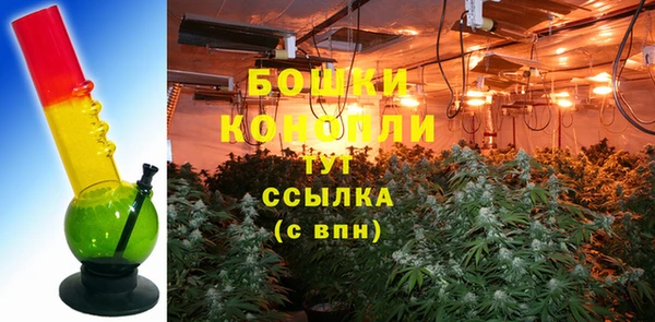 стафф Елизово