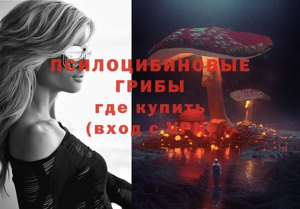 стаф Дубовка