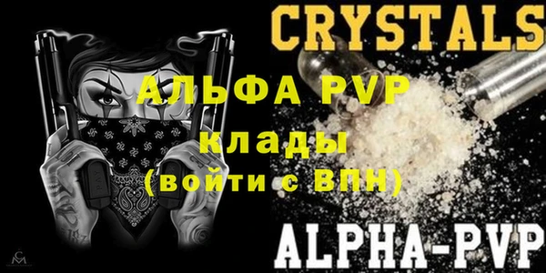 стафф Елизово