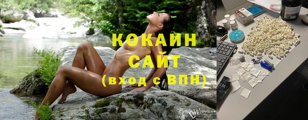 стафф Елизово