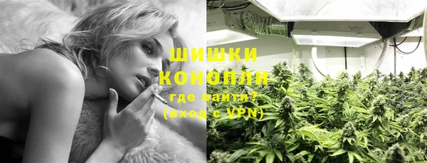 таблы Ельня